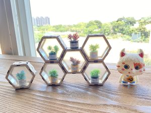 Vacuum molded wooden hexagonal magnetic display frames.