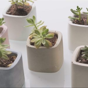 真空成型應用 - 水泥製作的盆器