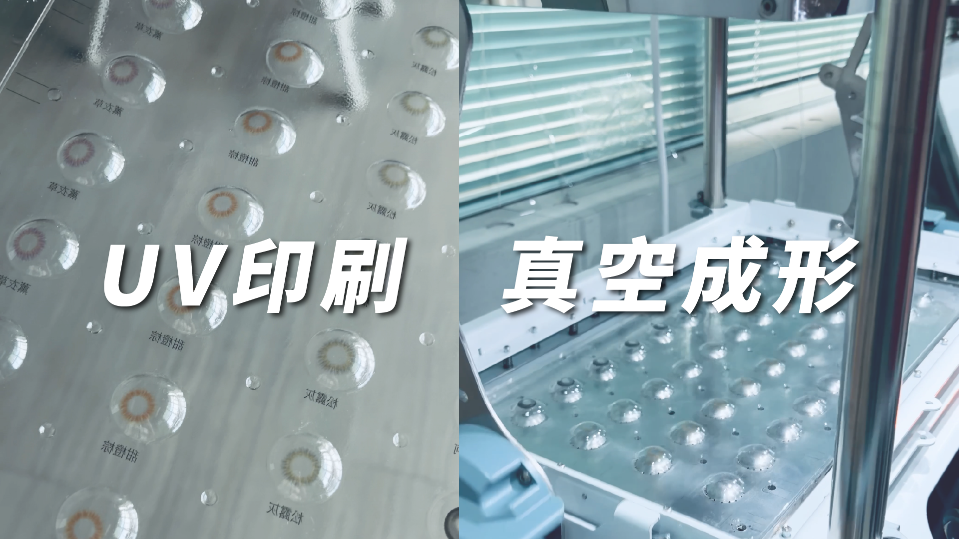 UV印刷済みPETシートをFORMART 3で真空成形した事例